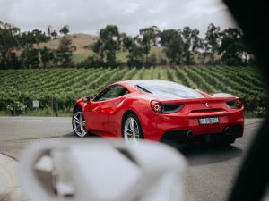 The Prancing Horse Supercar Drive Day Experience - Melbourne Yarra Valley - Victoria Tourism
