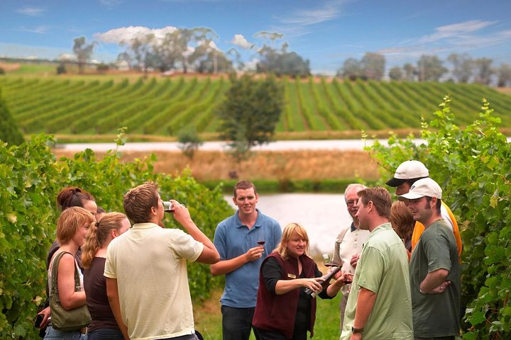 Yarra Valley Wine and Winery Tour from Melbourne - Victoria Tourism